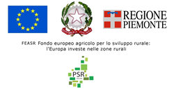 Banner_psr
