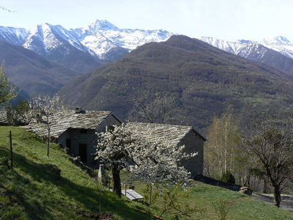 Borgata Uccioire