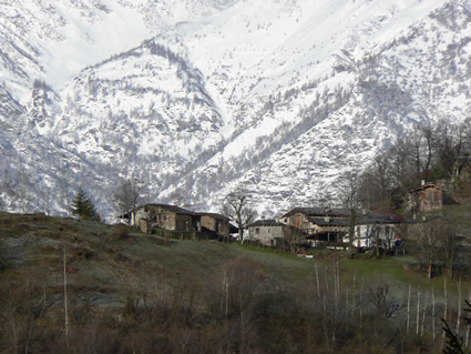 Pertusel