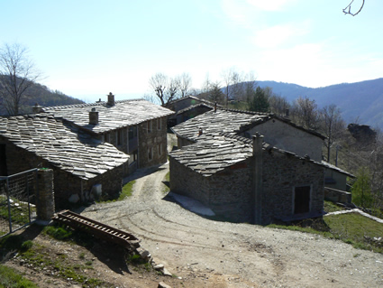 Pertusel3