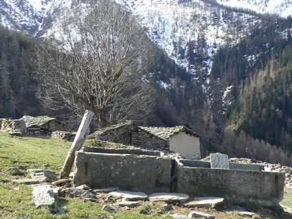 Pla d'Amount2