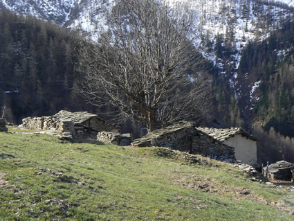 Pla d'Amount3