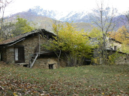 Bosc Baud2