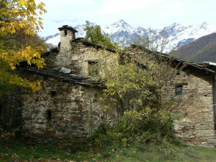 Bosc Baud3