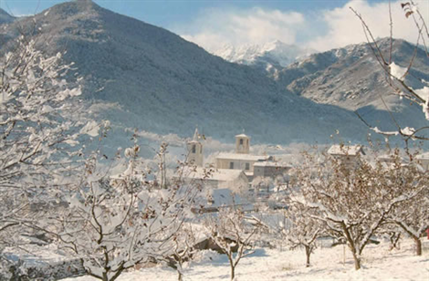 Immagine3